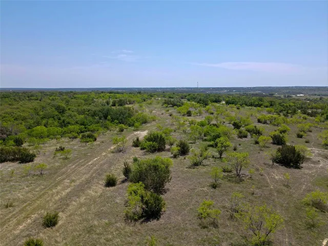 a view of a bunch of trees and bushes
