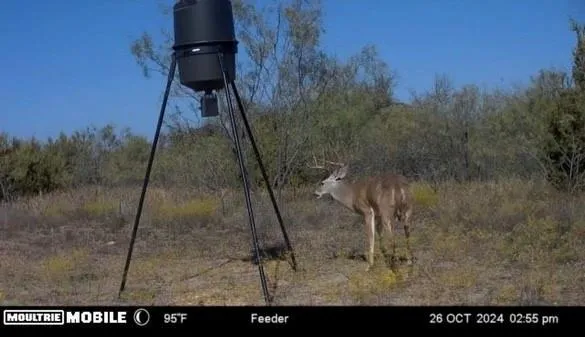 a bird view of a house