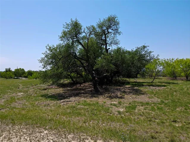 a view of a yard with a tree