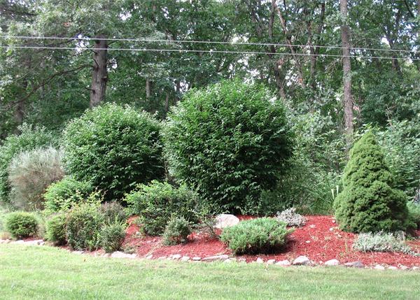 40 Pickering Road Blackstone, MA 01504 - Photo 14 of 17 Gallery Image 14