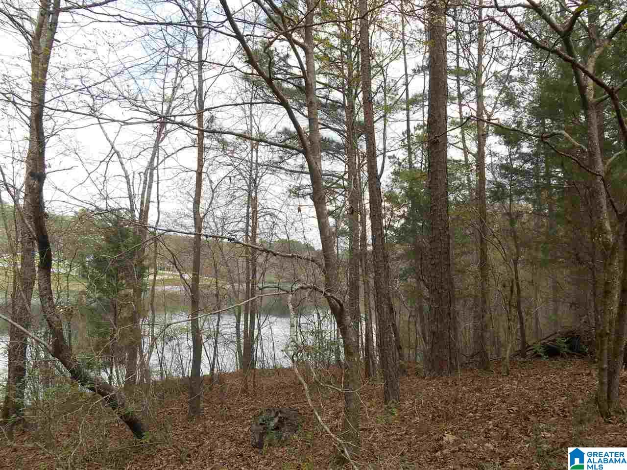 Oak Tree Drive, Unit 3A Chelsea, AL 35043 - Photo 2 of 4