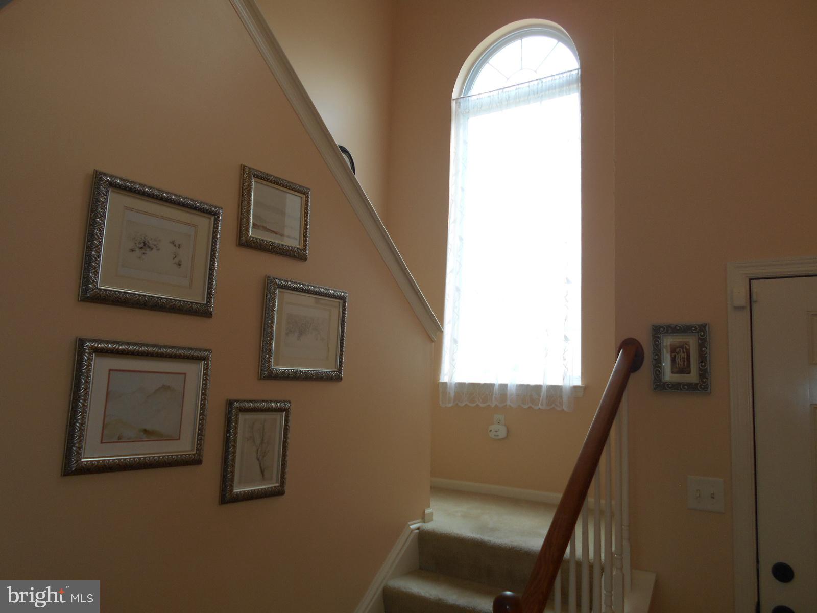 7 Ravine Drive Reading, PA 19607 - Photo 21 of 37 Dramatic window