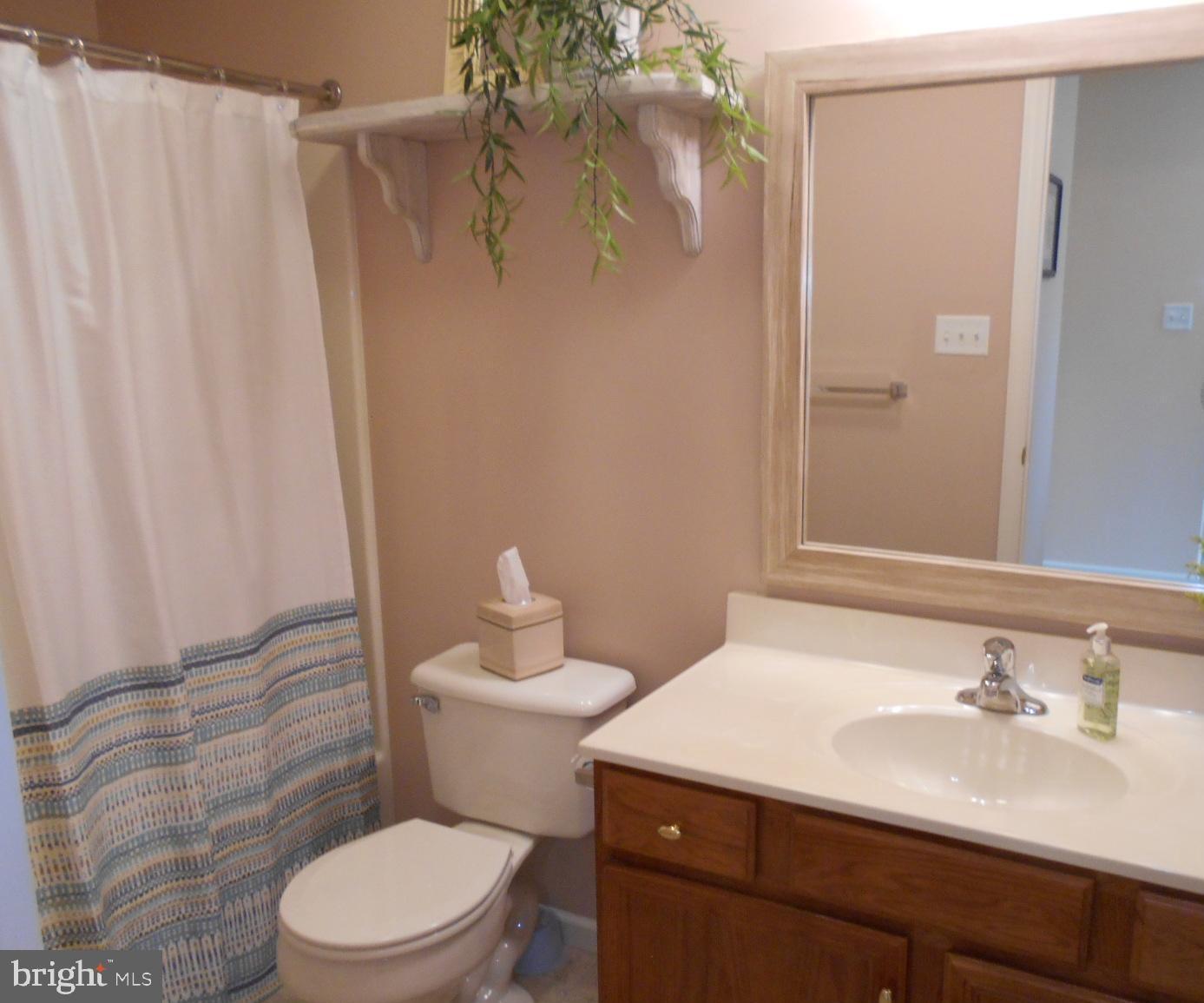 7 Ravine Drive Reading, PA 19607 - Photo 24 of 37 Hall Bathroom
