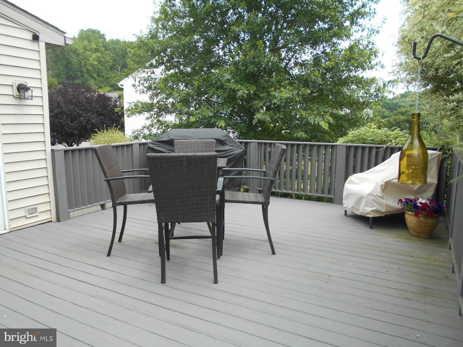 7 Ravine Drive Reading, PA 19607 - Photo 5 of 37 Extra Large Deck