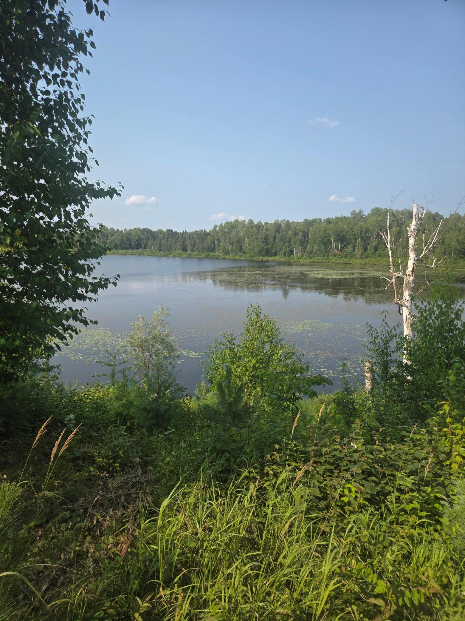 1423 Stone Lake Bridge Road Brimson, MN 55602 - Photo 18 of 27 Gallery Image 18