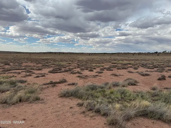 $9,500 | St-johns Az 85936, St. Johns, AZ 85936