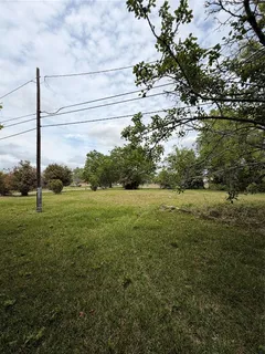 a view of a field of grass and trees