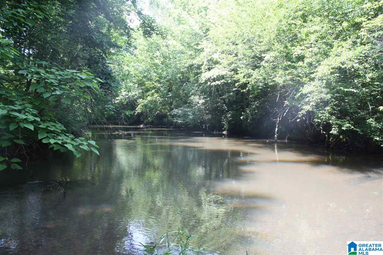810 Weeks Drive, Unit 152 ACRES Delta, AL 36258 - Photo 5 of 24