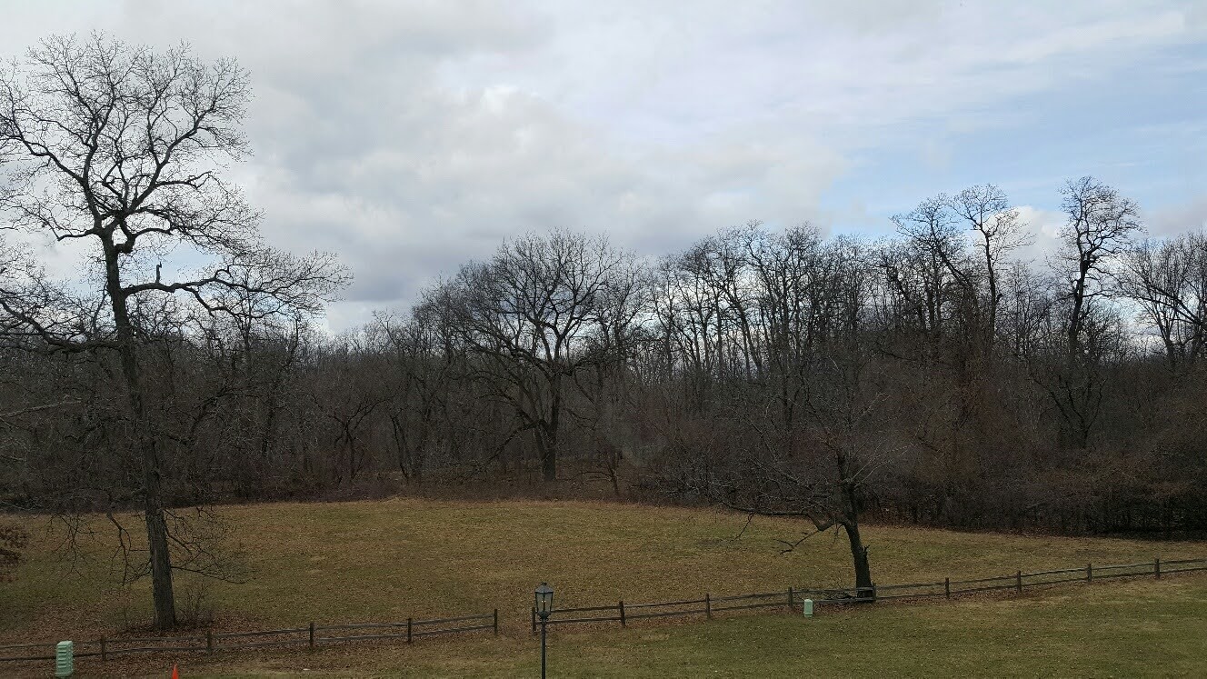 200 Thames Parkway, Unit 2J Park Ridge, IL 60068 - Photo 13 of 21 a view of a yard