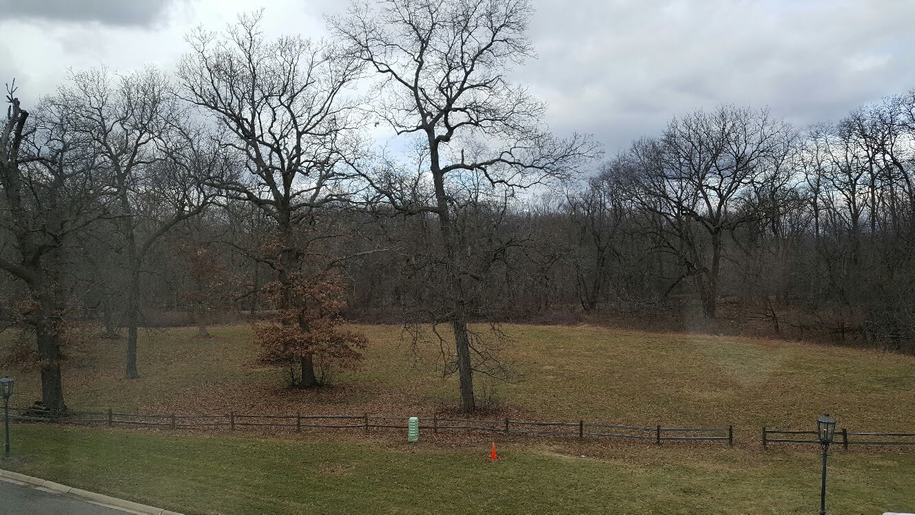 200 Thames Parkway, Unit 2J Park Ridge, IL 60068 - Photo 14 of 21 a view of a yard