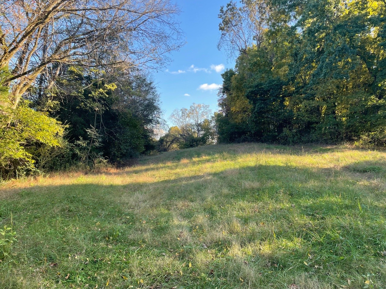 0 Bryant Road Columbia, TN 38401 - Photo 1 of 10 Gallery Image 1