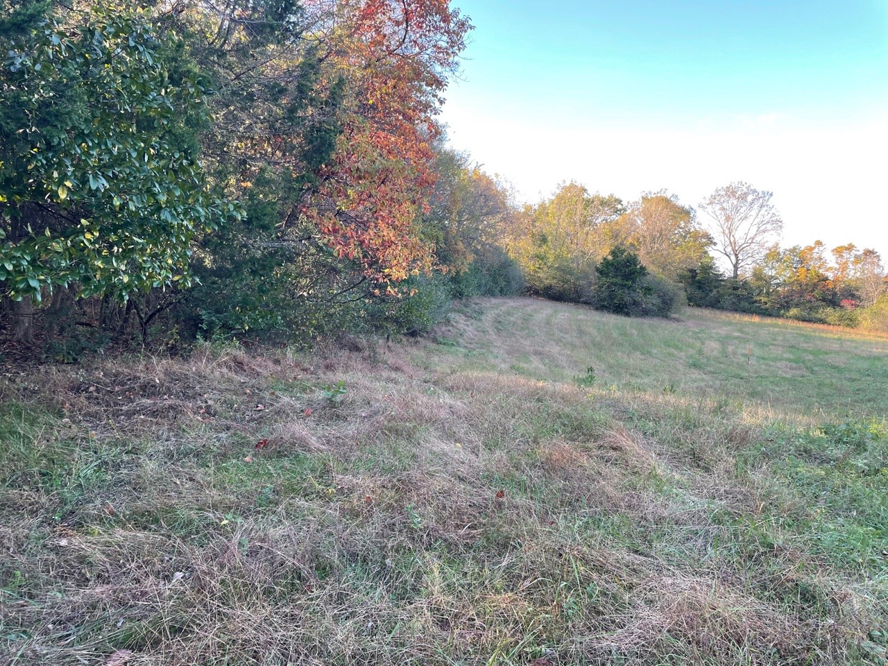 0 Bryant Road Columbia, TN 38401 - Photo 3 of 10 Gallery Image 3