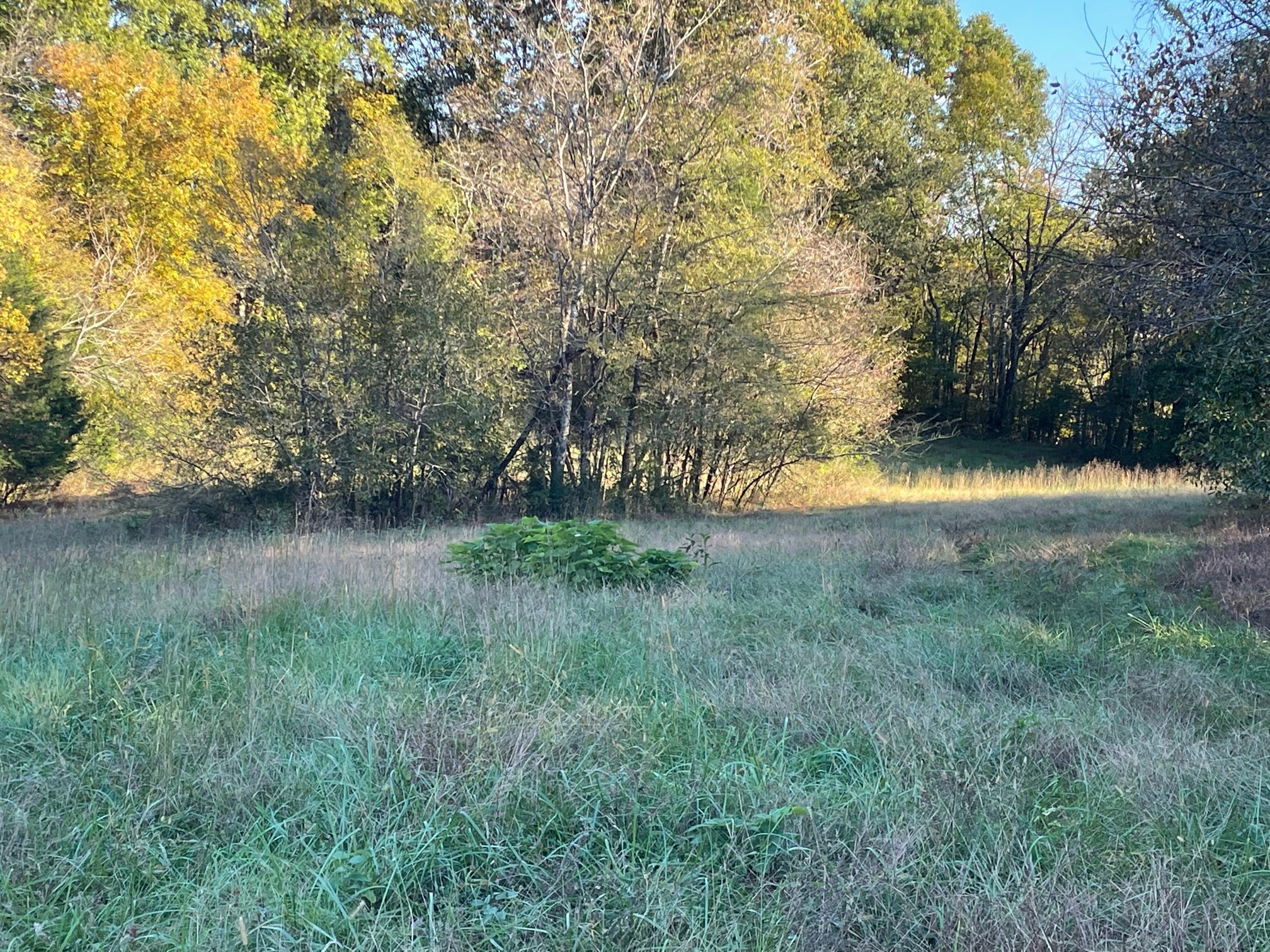 0 Bryant Road Columbia, TN 38401 - Photo 7 of 10 Gallery Image 7
