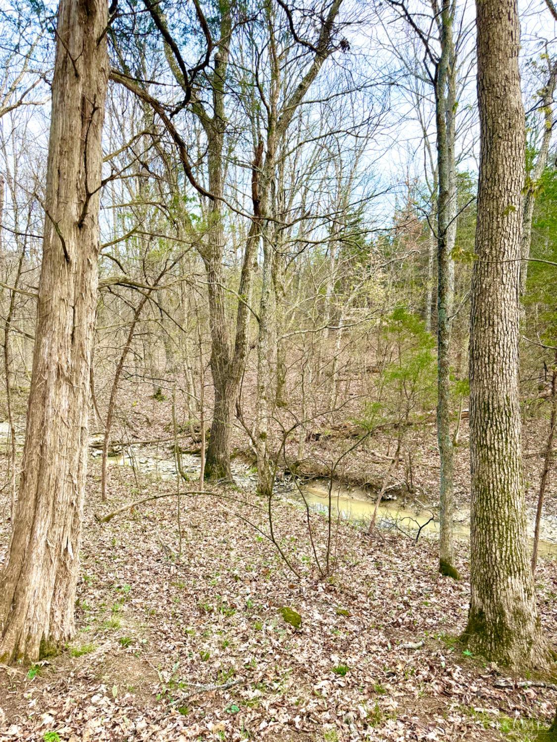 1600 Magee Jones Road Peebles, OH 45660 - Photo 57 of 91