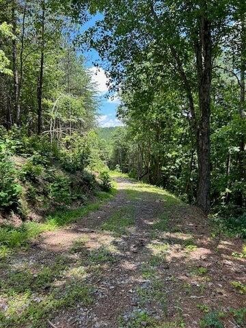 5 Owl Hollow Road Southwest McDonald, TN 37353 - Photo 12 of 32