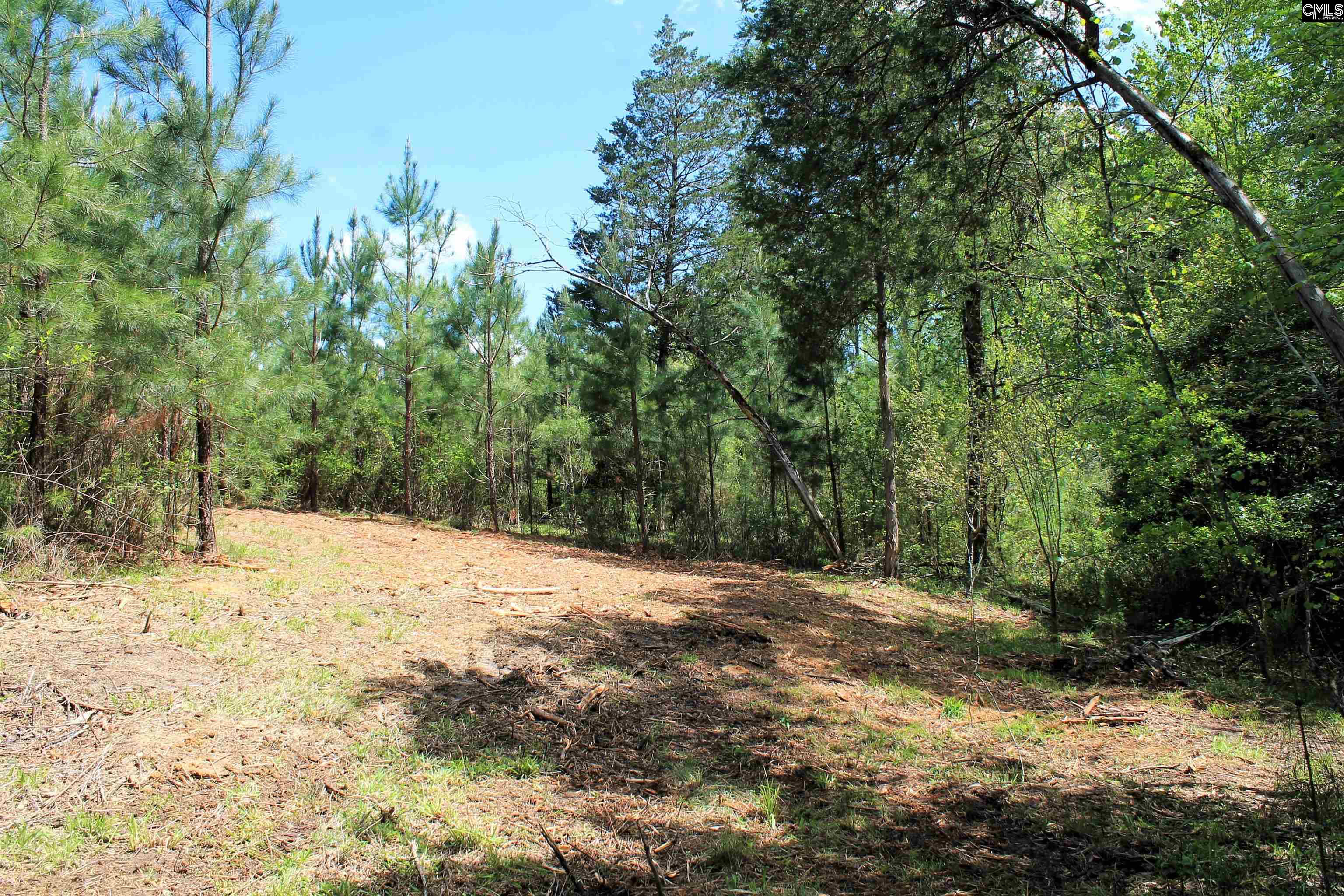 Tbd Crooked Creek Road Chapin, SC 29036 - Photo 10 of 20