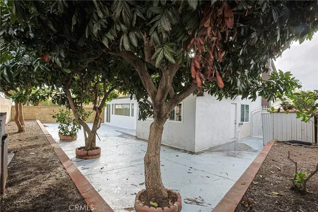 a view of a yard with trees