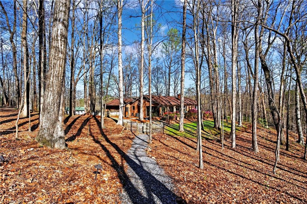 7736 Penns Grove Road Summerfield, NC 27358 - Photo 42 of 50 Path from the lake