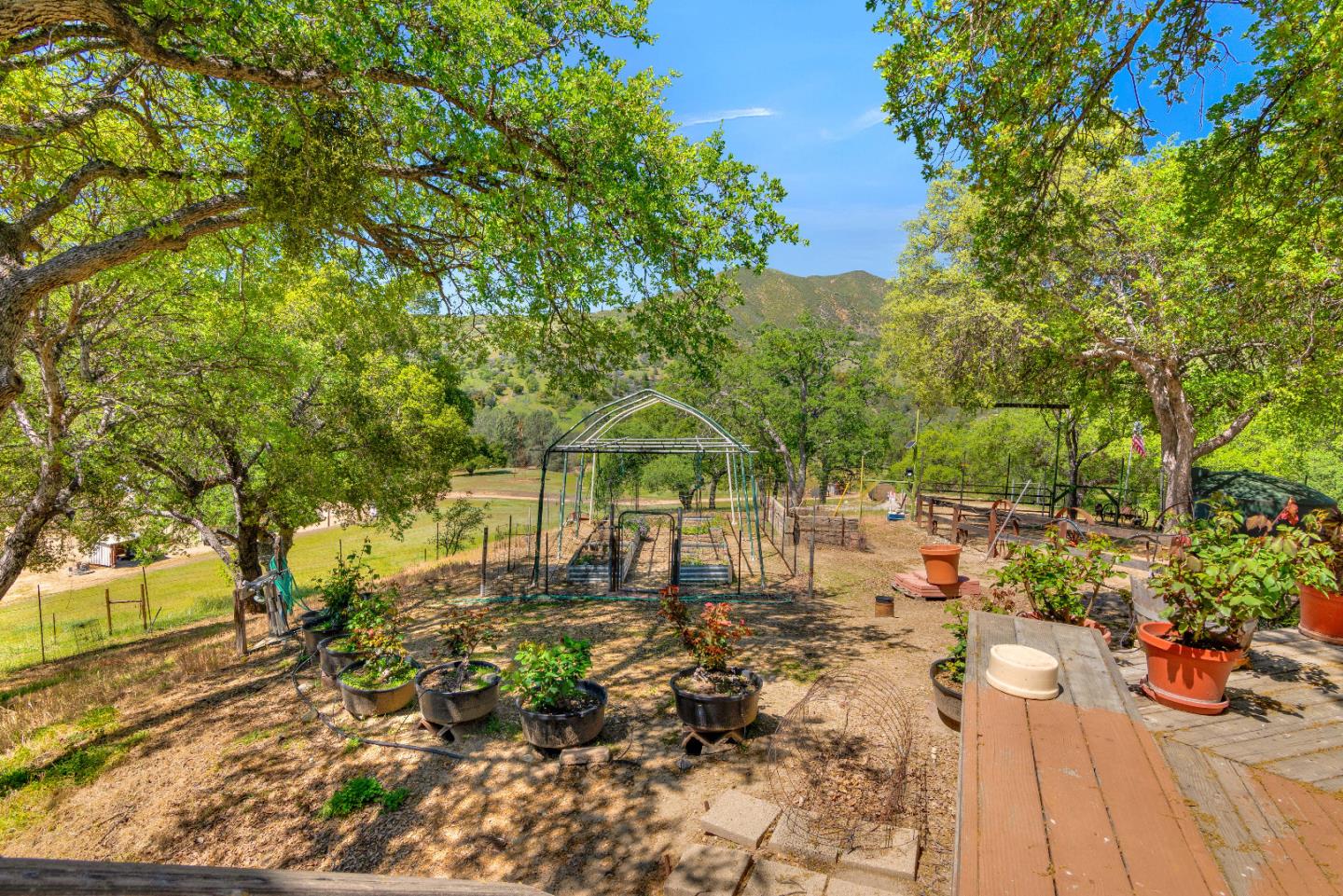 38483 Milpitas Road Greenfield, CA 93927 - Photo 47 of 55 a view of a yard with plants and trees
