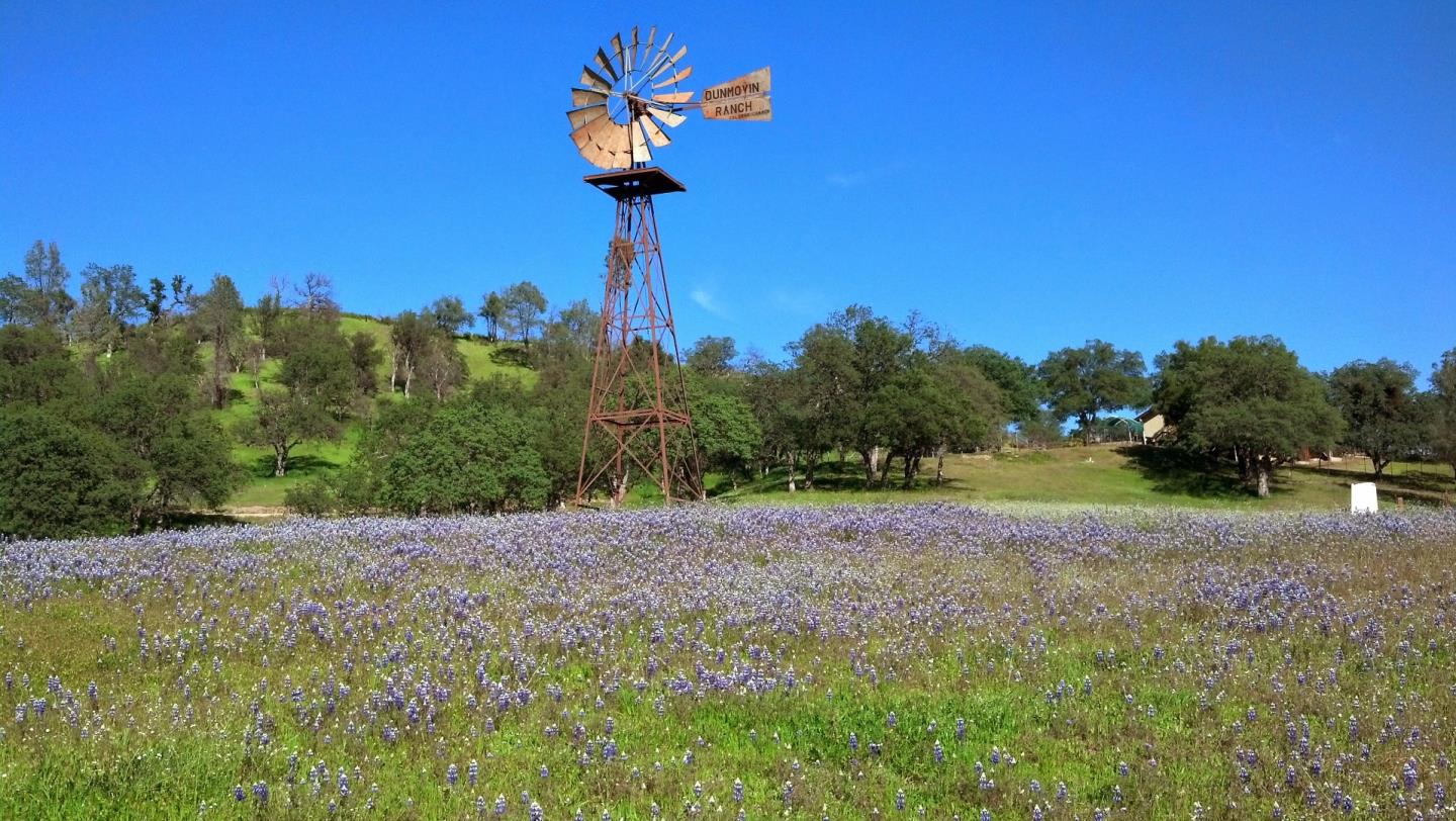 38483 Milpitas Road Greenfield, CA 93927 - Photo 51 of 55 a view of a yard with a tree
