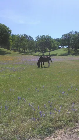 $1,200,000 | 38483 Milpitas Road, Greenfield, CA 93927