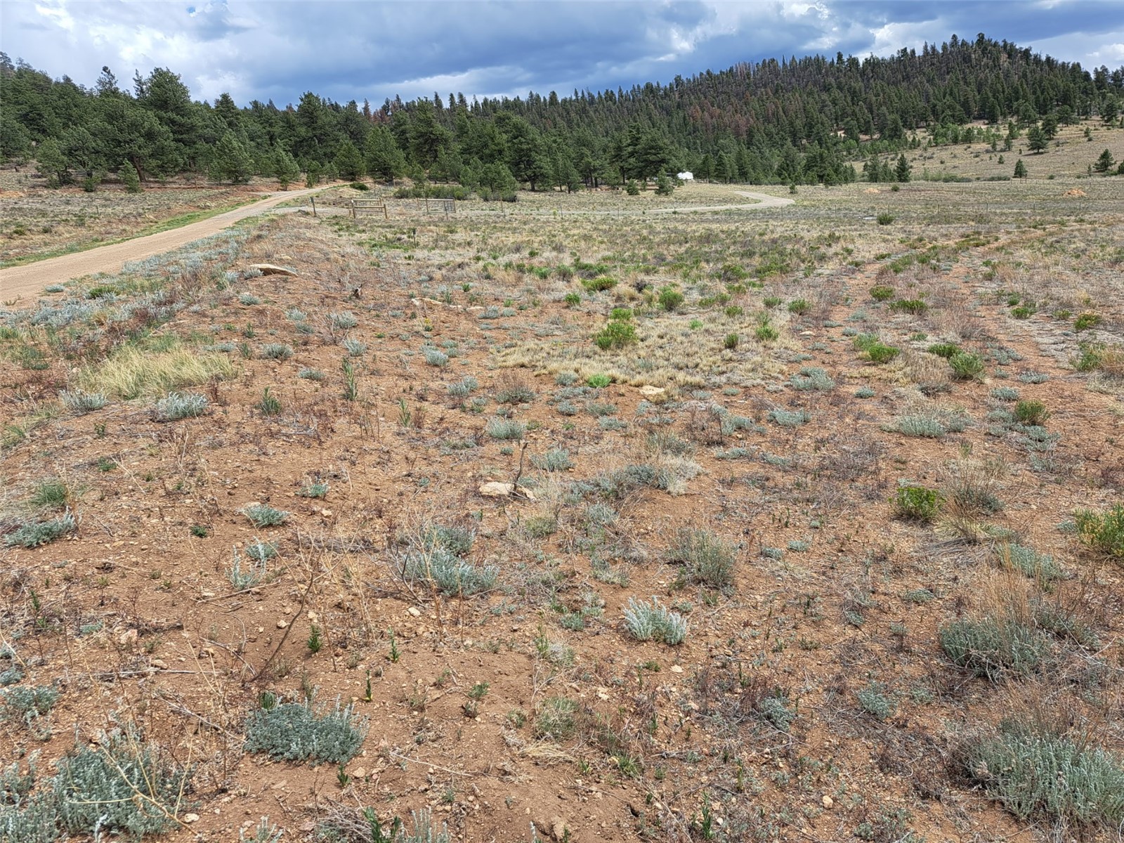 0 Cohonina Road Hartsel, CO 80449 - Photo 3 of 20 a view of an outdoor space and a yard