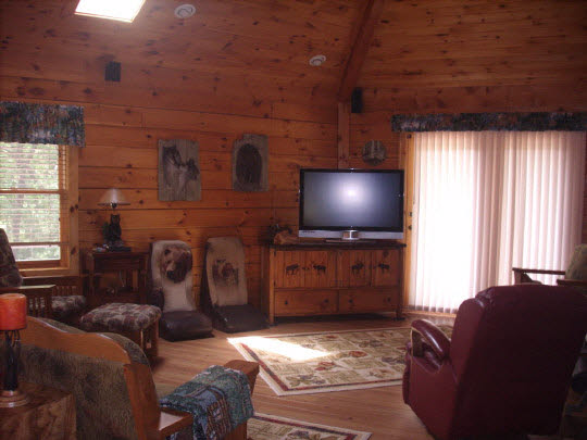 1426 Arrowhead Road Lyndon Station, IL 53944 - Photo 7 of 11 Gallery Image 7