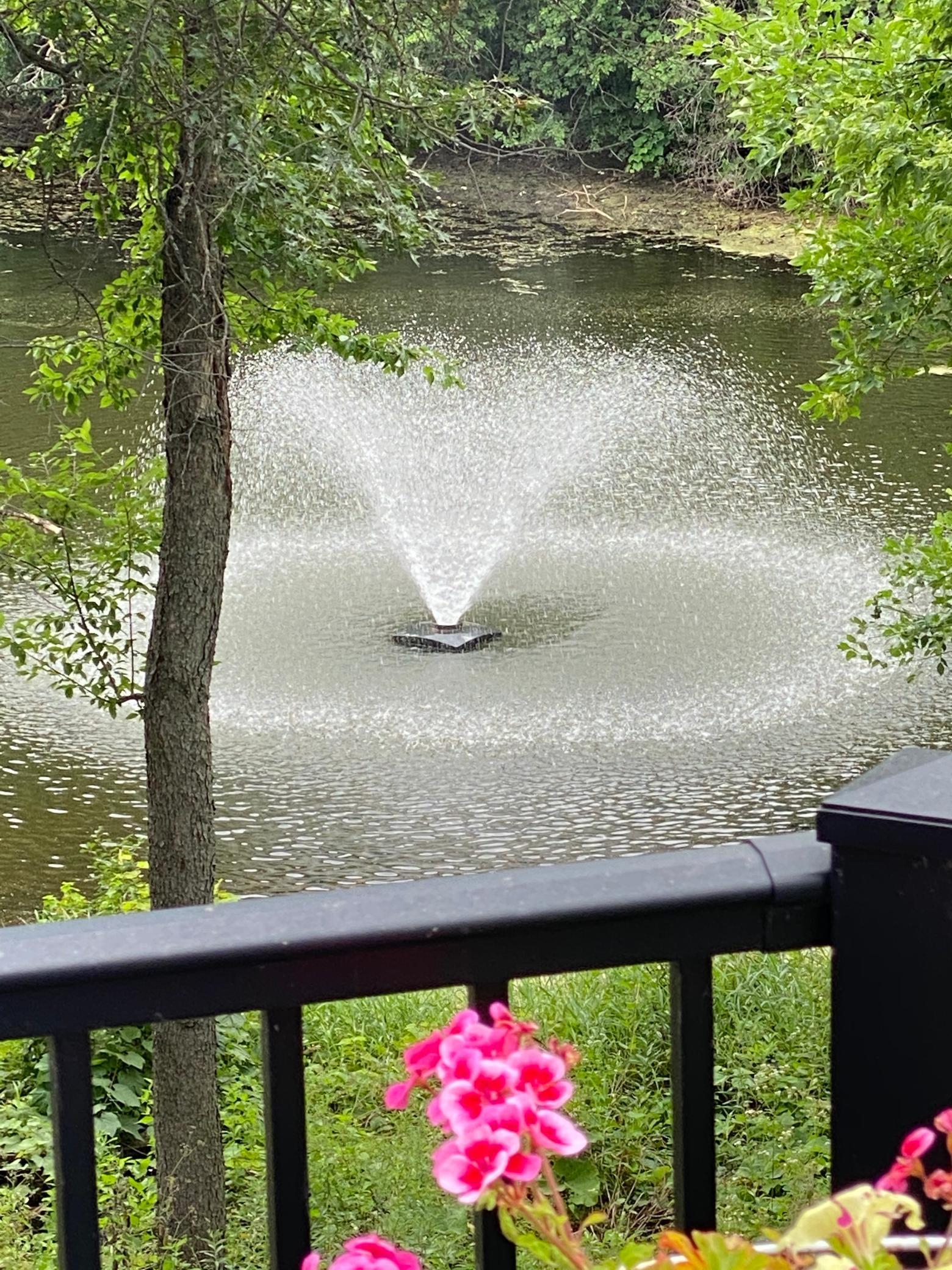 3470 Sawgrass Trail East Eagan, MN 55123 - Photo 7 of 38