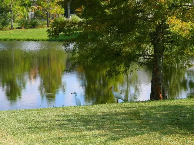 $810,000 | 6404 Royal Tern Circle, Lakewood Ranch, FL 34202