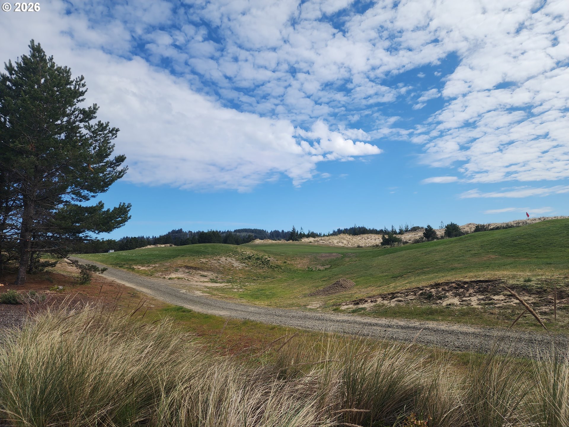 2148 Willow Loop Florence, OR 97439 - Photo 14 of 46