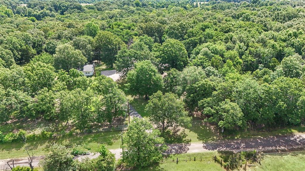 3870 County Road Arthur City, TX 75411 - Photo 39 of 39 Expansive treed landscape featuring a single-story white residence, a paved driveway, and lush green foliage