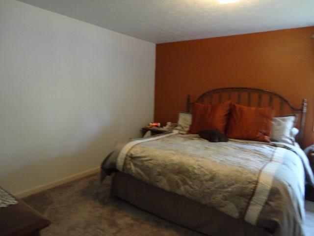 5013 Julia Lane McKees Rocks, PA 15136 - Photo 14 of 25 Master bedroom