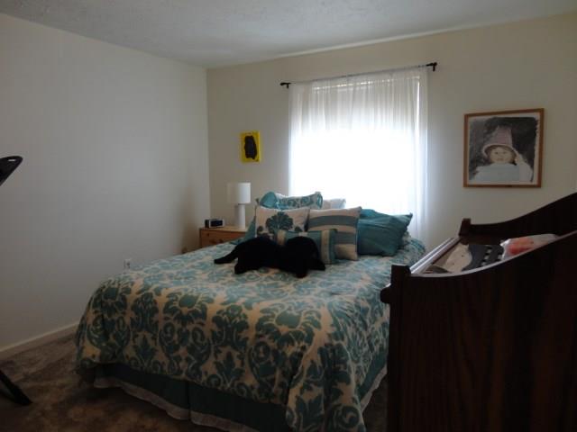 5013 Julia Lane McKees Rocks, PA 15136 - Photo 18 of 25 bedroom
