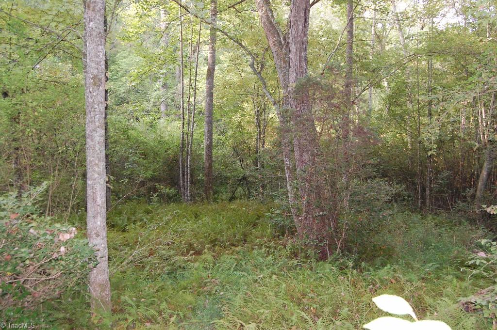 0 Macedonia Church Road Ronda, NC 28670 - Photo 2 of 11 Gallery Image 2
