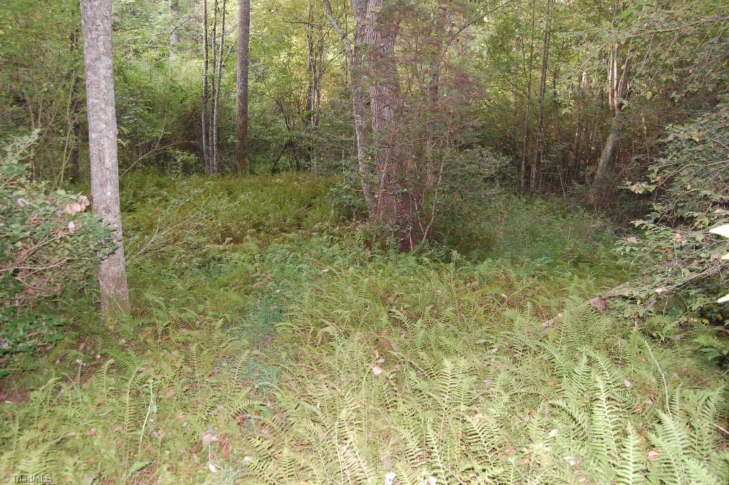 0 Macedonia Church Road Ronda, NC 28670 - Photo 3 of 11 Gallery Image 3