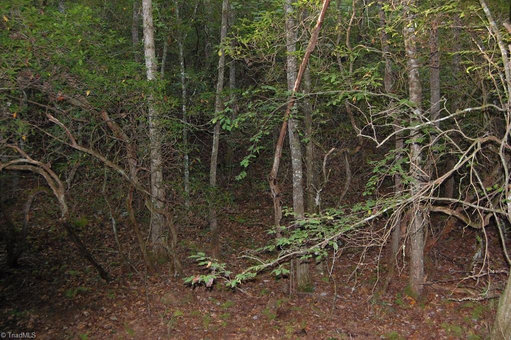 0 Macedonia Church Road Ronda, NC 28670 - Photo 4 of 11 Gallery Image 4