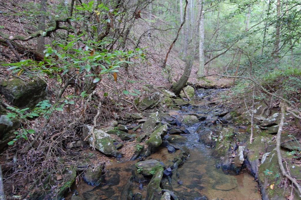 0 Macedonia Church Road Ronda, NC 28670 - Photo 6 of 11 Gallery Image 6