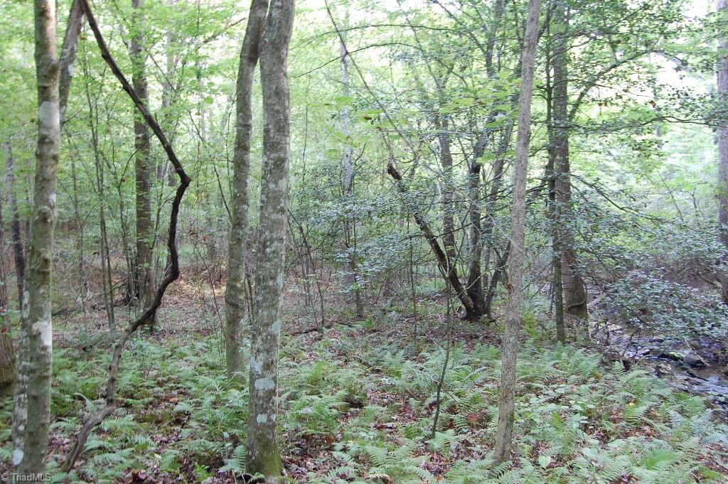 0 Macedonia Church Road Ronda, NC 28670 - Photo 8 of 11 Gallery Image 8