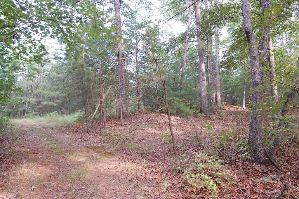 0 Macedonia Church Road Ronda, NC 28670 - Photo 10 of 11 Gallery Image 10