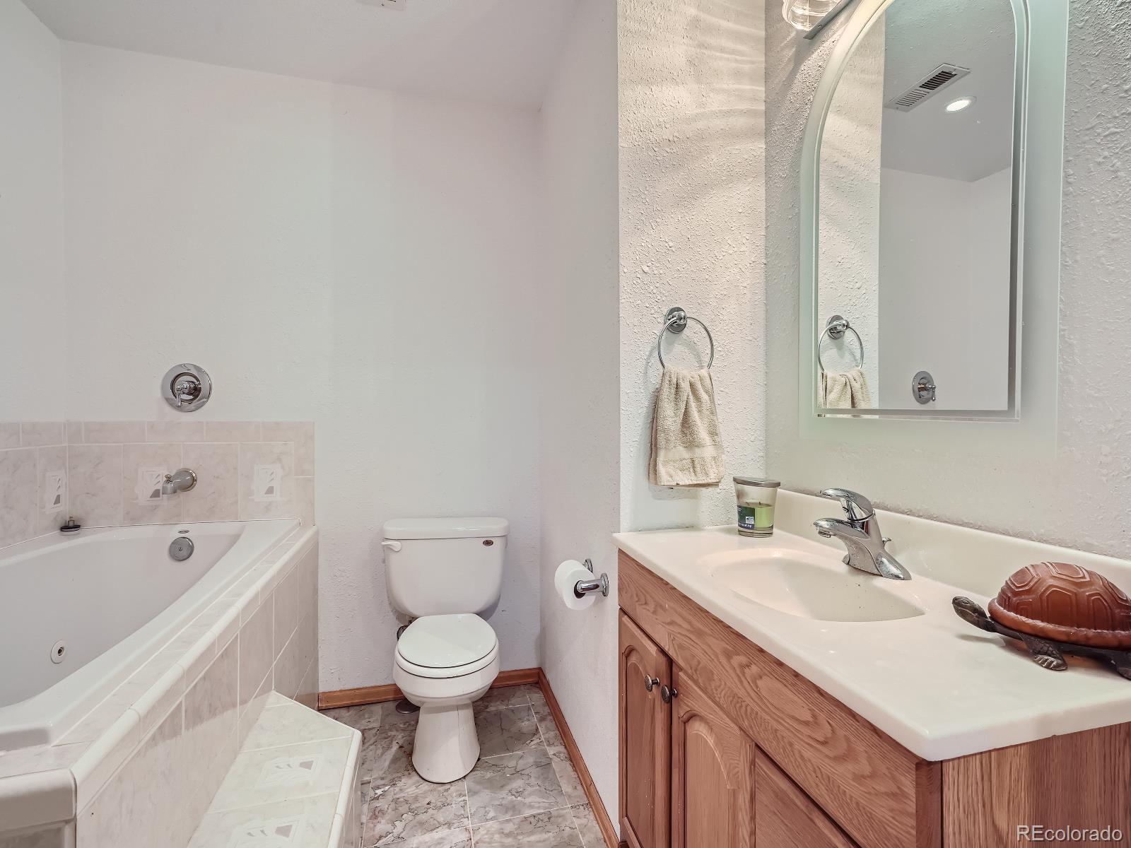 139 Hayes Street Bailey, CO 80421 - Photo 20 of 28 a bathroom with a sink a toilet and a large mirror