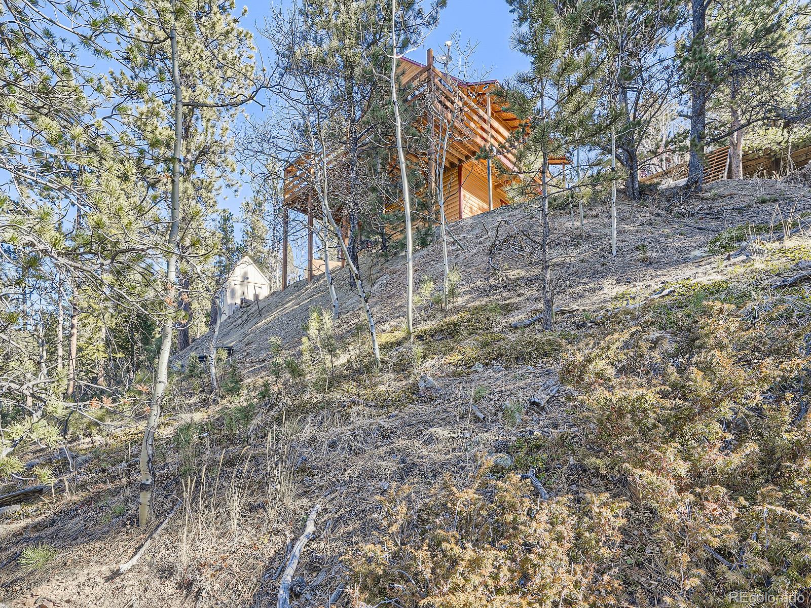 139 Hayes Street Bailey, CO 80421 - Photo 25 of 28 a backyard of a house with lots of green space