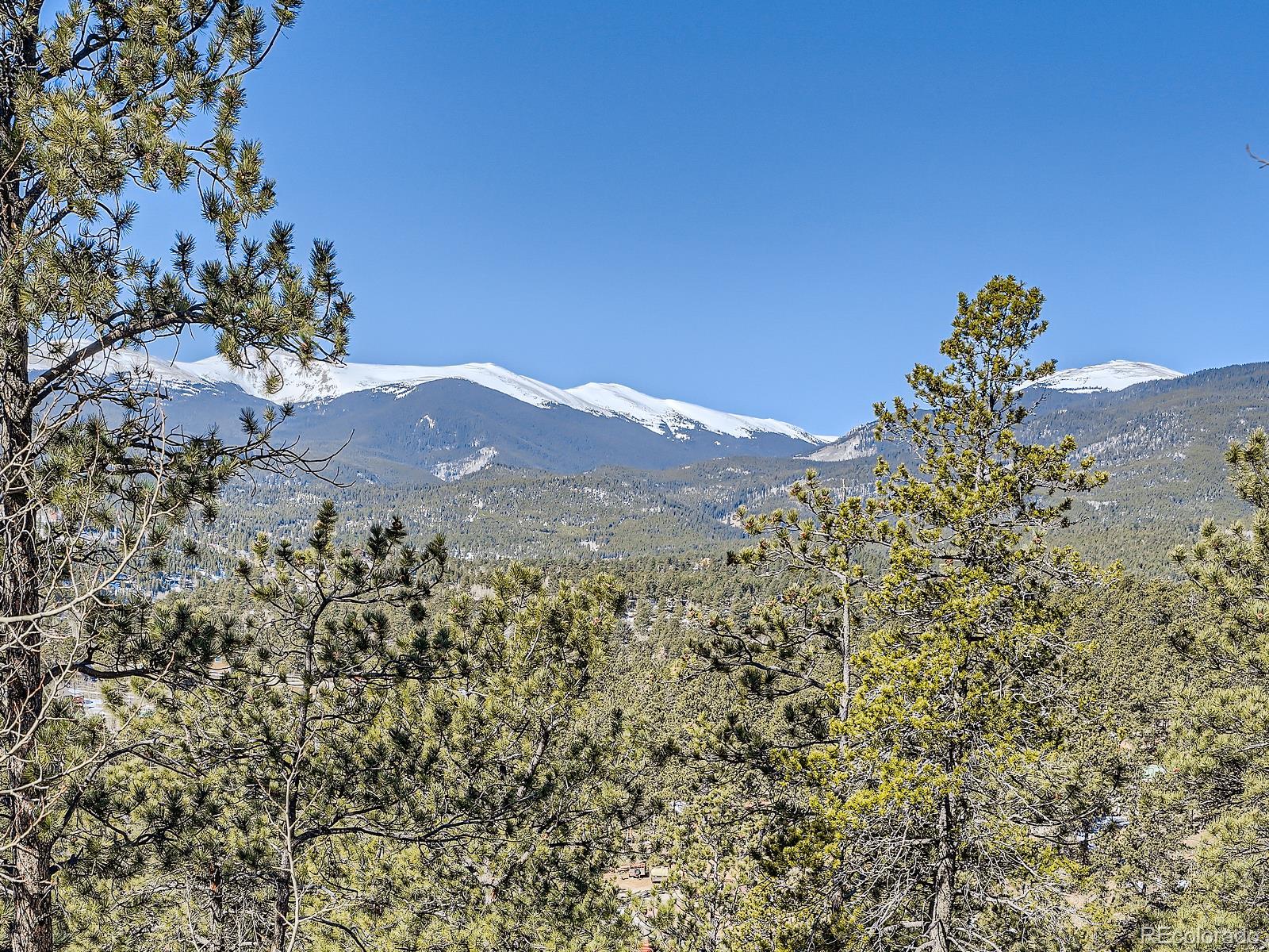 139 Hayes Street Bailey, CO 80421 - Photo 26 of 28 a view of a dry yard with mountains in the background