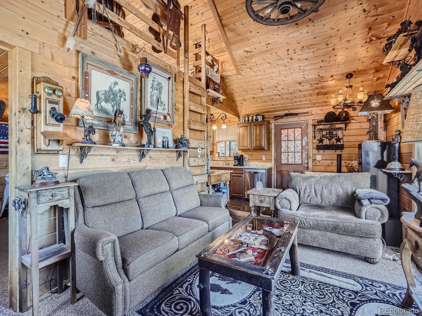 139 Hayes Street Bailey, CO 80421 - Photo 9 of 28 a living room with furniture and a fireplace