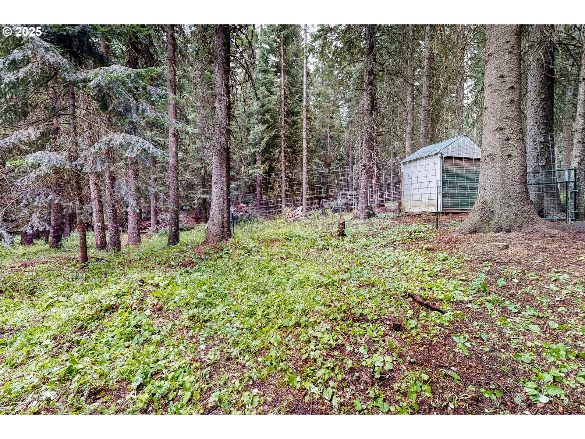 58504 Wildwood Loop Weston, OR 97886 - Photo 10 of 39 a backyard of a house with lots of green space