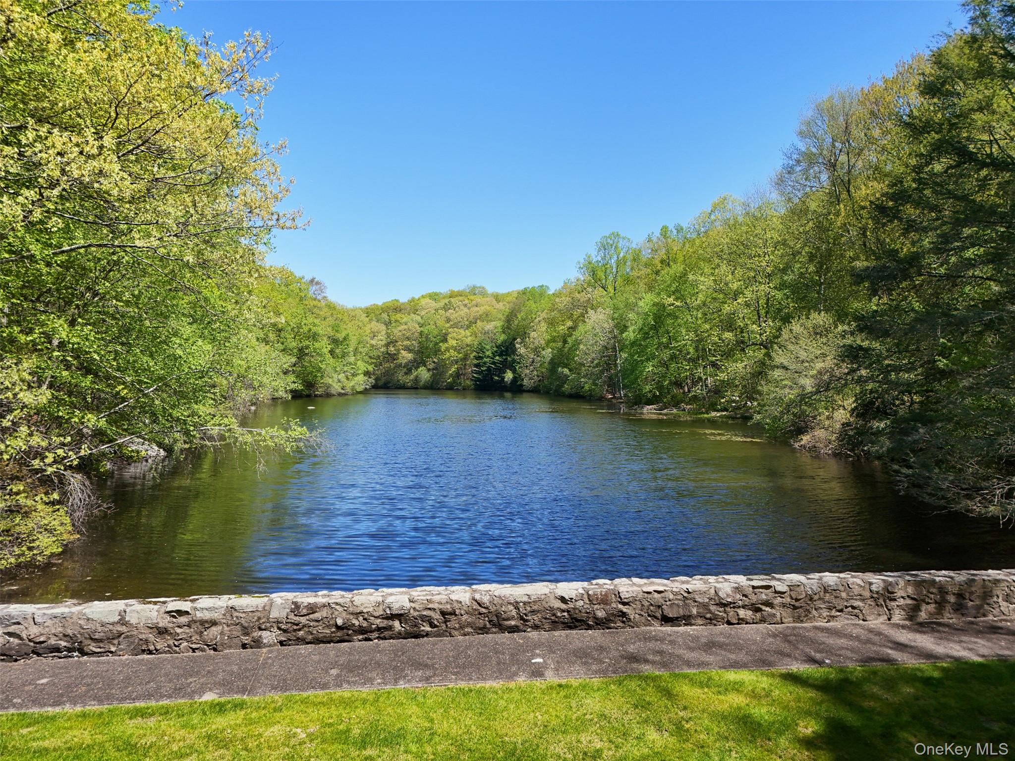 164 Eastwoods Road Pound Ridge, NY 10576 - Photo 40 of 46
