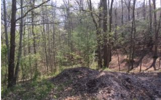 Lt117 Ridgeview Trail Ellijay, GA 30536 - Photo 1 of 1 Main View