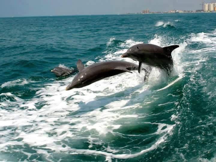 424 Albee Road West, Unit 1 Nokomis, FL 34275 - Photo 38 of 40