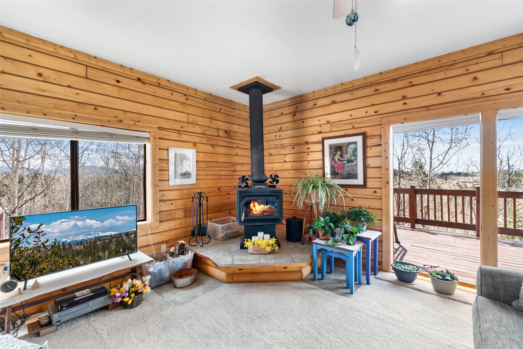 360 Musket Lane Como, CO 80456 - Photo 8 of 46