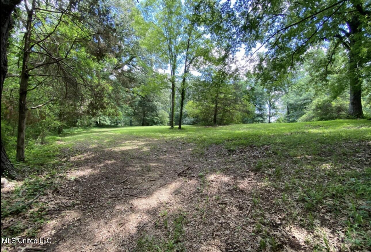 2765 Nesbit Road Nesbit, MS 38651 - Photo 11 of 14 IMG_4997