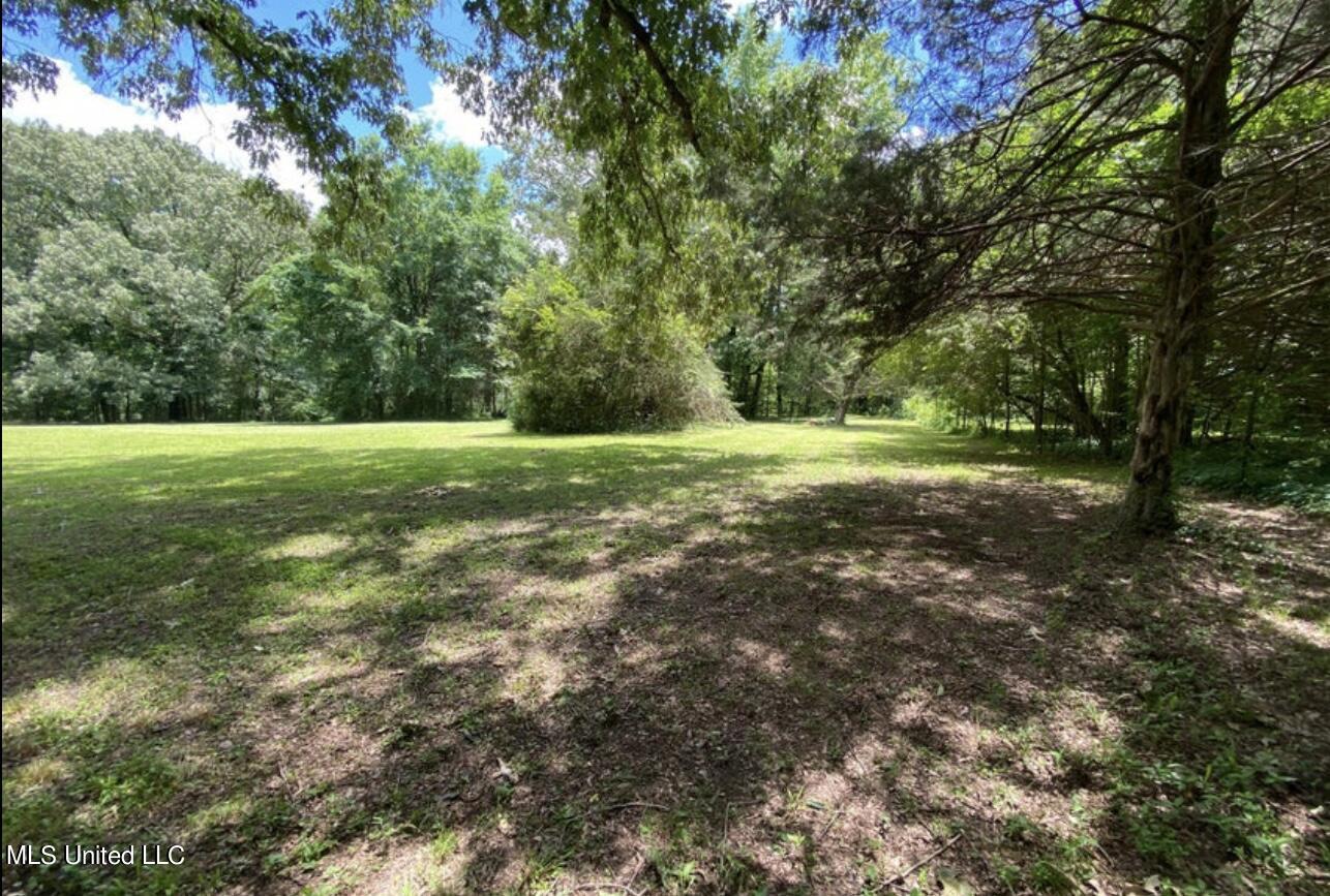 2765 Nesbit Road Nesbit, MS 38651 - Photo 12 of 14 IMG_4998